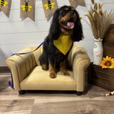 Entry image for Jake