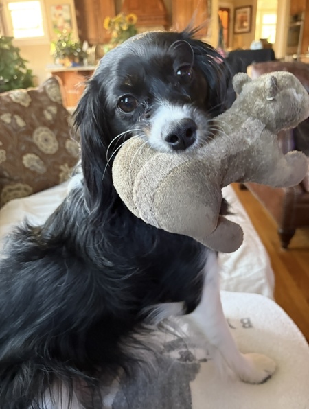 Arwen (“Winni”) 