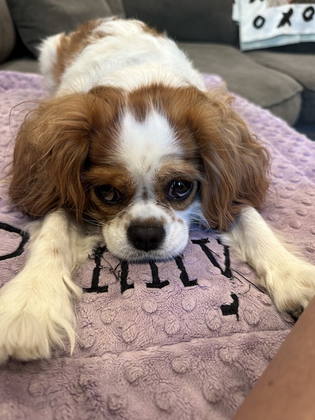 Penny