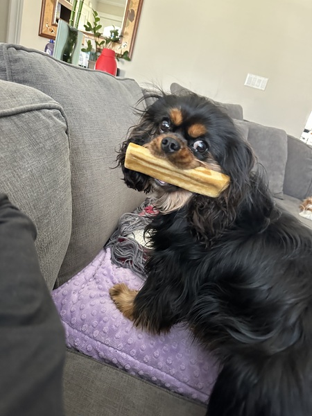 Kona