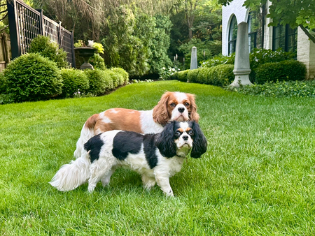Trip & Dorenn