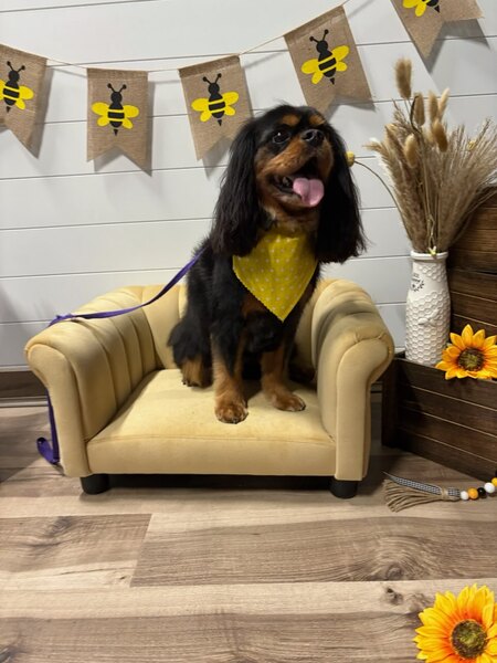 Entry image for Jake. Clicking this image will show a larger photo