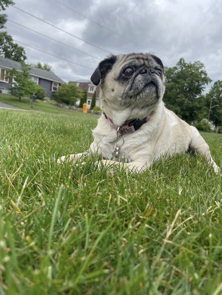 Lola