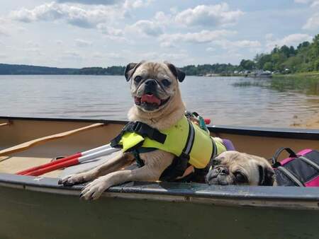 Max (yellow) Maggie (pink)