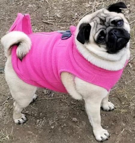 Lucy 
