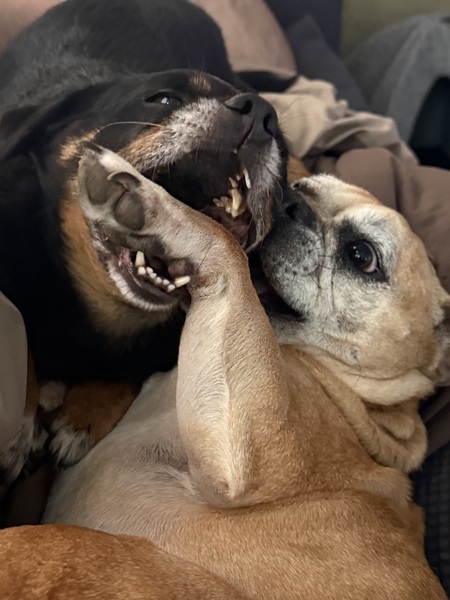 Rocky and Georgia 