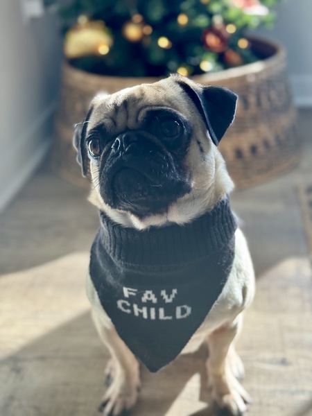 Aldo