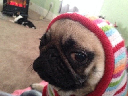 Peggy