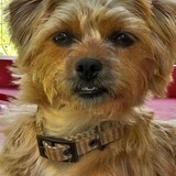 Entry image for Lilly
