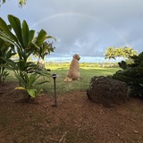 Entry image for Barnaby 