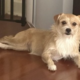 Entry image for Bailey