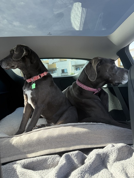 Zoey and JoJo