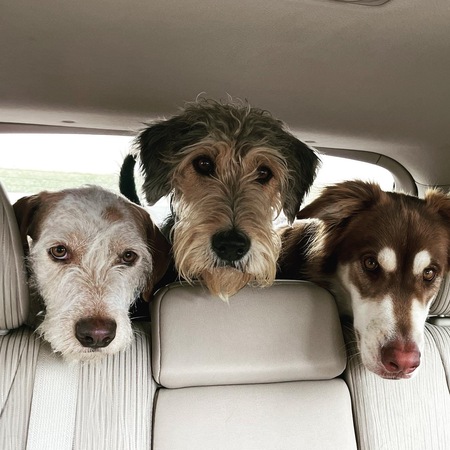Mariko, Daphne and Zeus