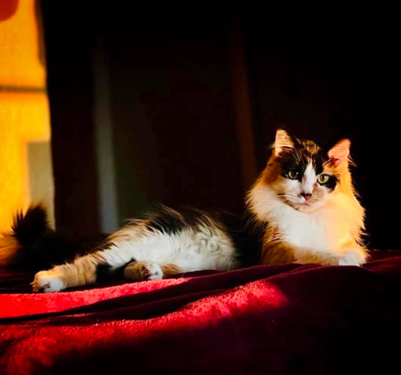 Sascha 