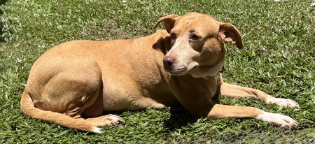 Sadie
