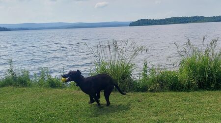 Kona