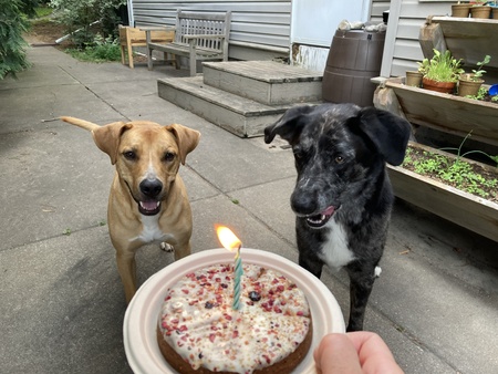 Marley and Jazz
