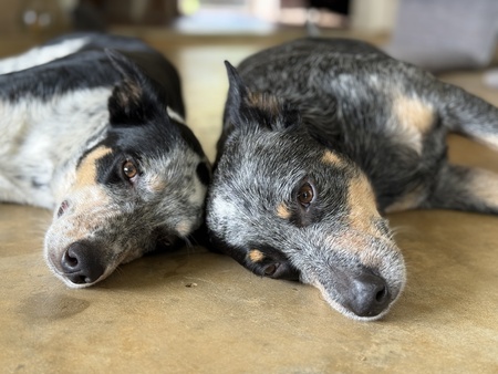 Daisy and Mali’e (Daughter and Mom)