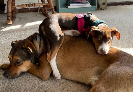 Ubu & Ernie
