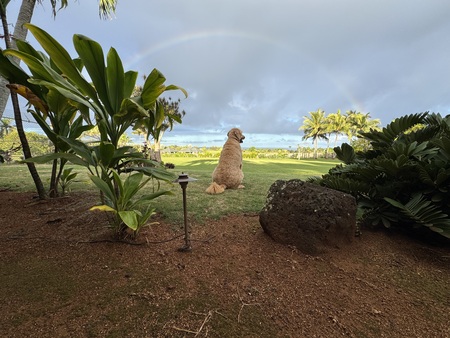 Entry image for Barnaby . Clicking this image will show a larger photo