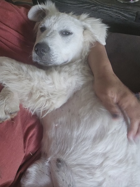 Elliot "Ellie Belly"