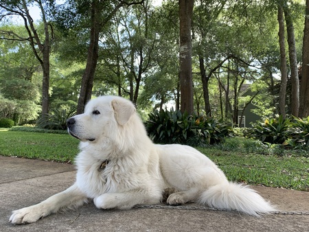 Hudson