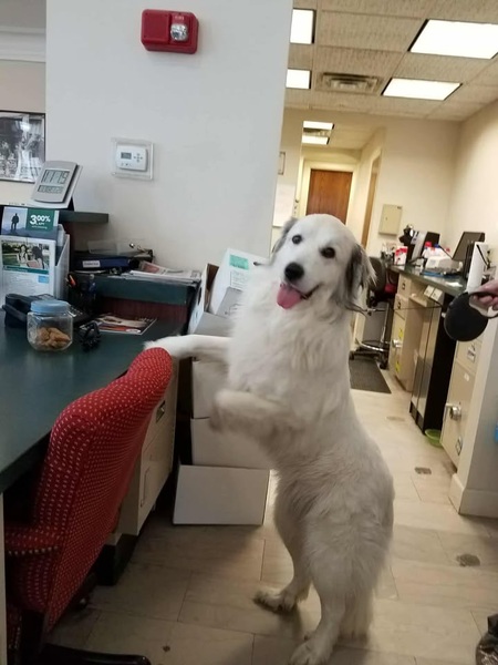 Maggie Mae