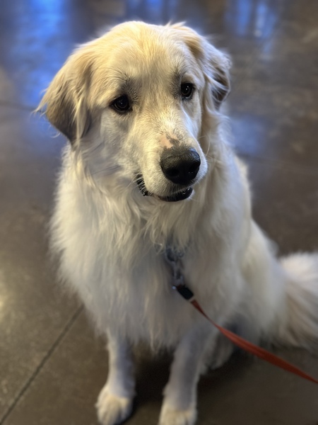 Max