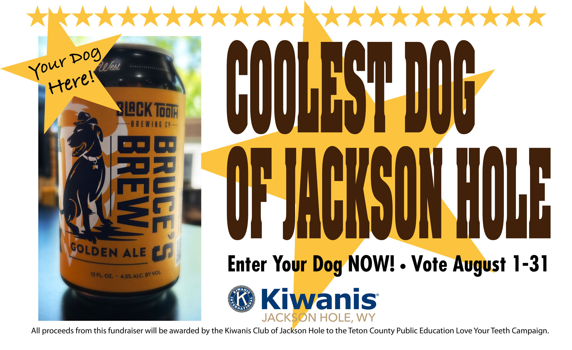 Banner for Kiwanis Club of Jackson Hole Coolest Dog Contest
