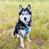 Entry image for Kenai