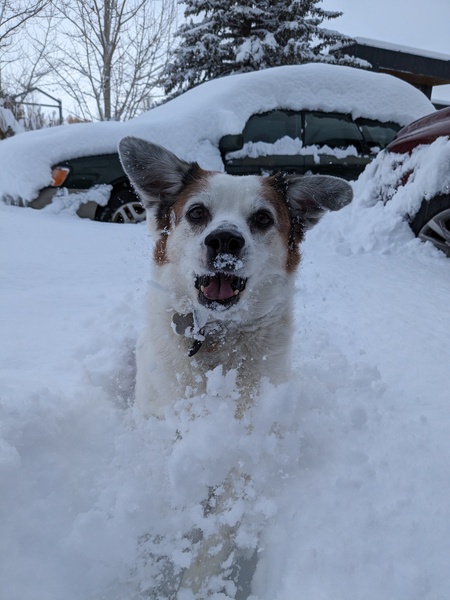 Entry image for Micha. Clicking this image will show a larger photo