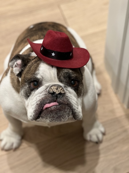 Entry image for Biggie. Clicking this image will show a larger photo