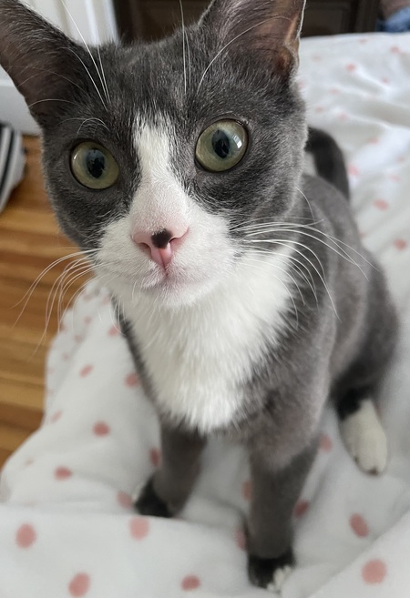 Reid