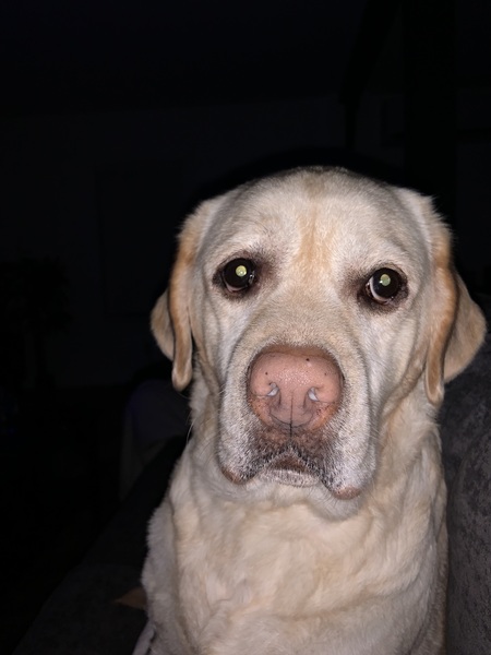 Chloe