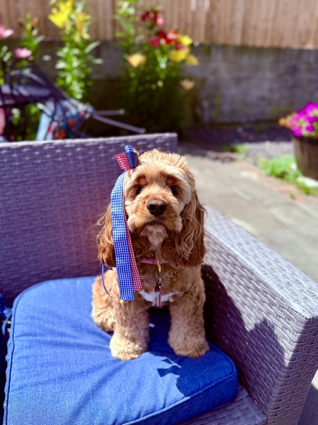 Winnie