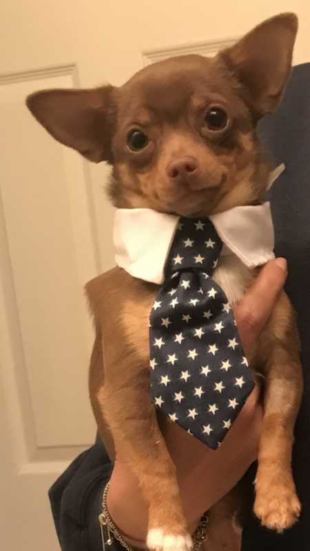 Junior