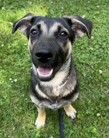 Greta