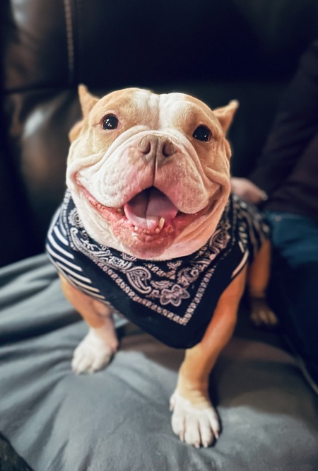 Tater