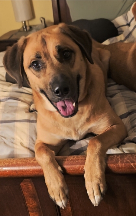Loki