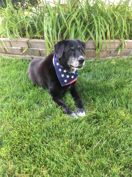 Ella