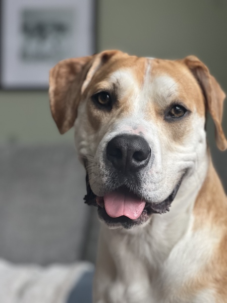 Cooper 