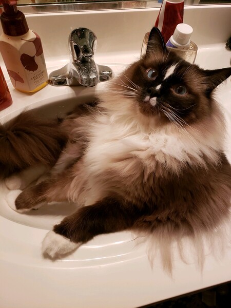 Bruce