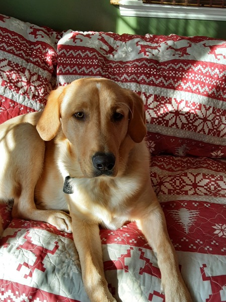 Walter