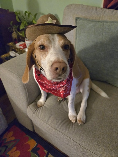 Patchy aka Deputy Dawg