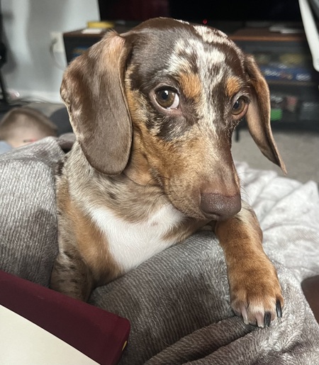 Finnegan