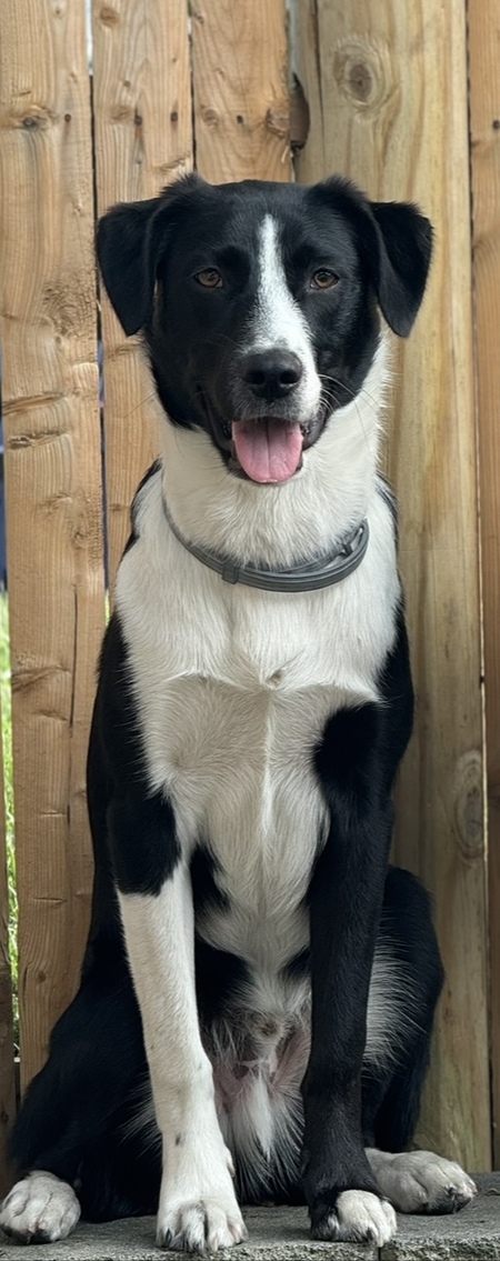 Max