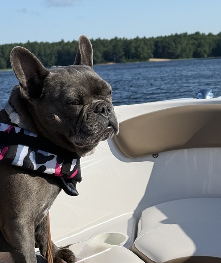 Bella
