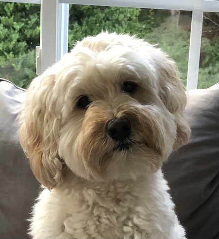 Tucker