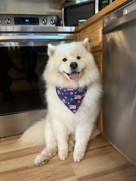 Sampson
