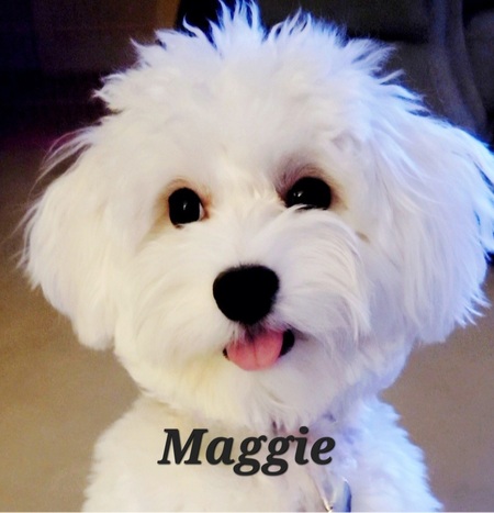 Maggie